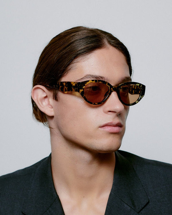 Winnie / Black Yellow Tortoise & Brown Lens - Shade Files